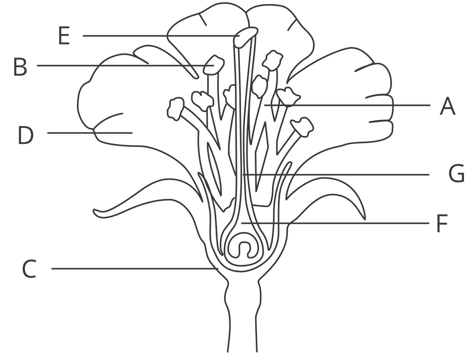 Reproduction In Plants Structures And Pollination